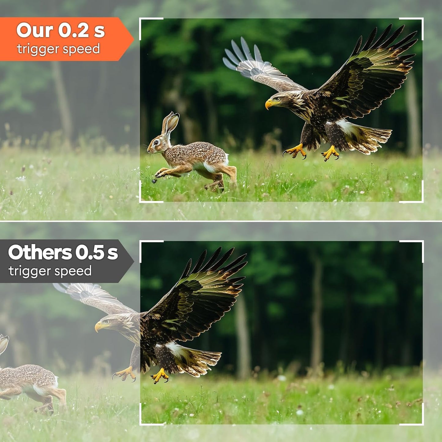 Trail Camera Wifi - Solar Powered 4K 64MP Game Cameras with Night Vision Motion Activated Waterproof with 32GB Micro SD Card, IP66 120° Detection Angle 0.2S Trigger 940Nm No Glow LED Wildlife